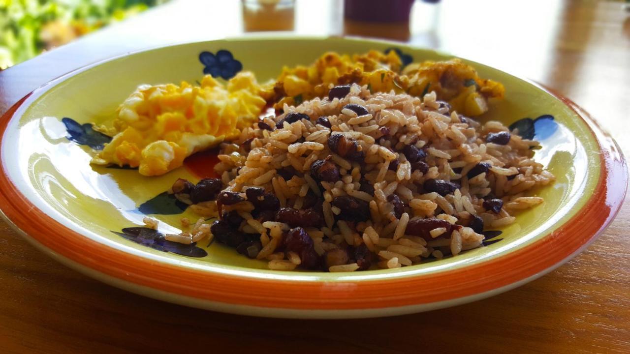 Marita'S Bed And Breakfast 纽沃阿雷纳尔 外观 照片